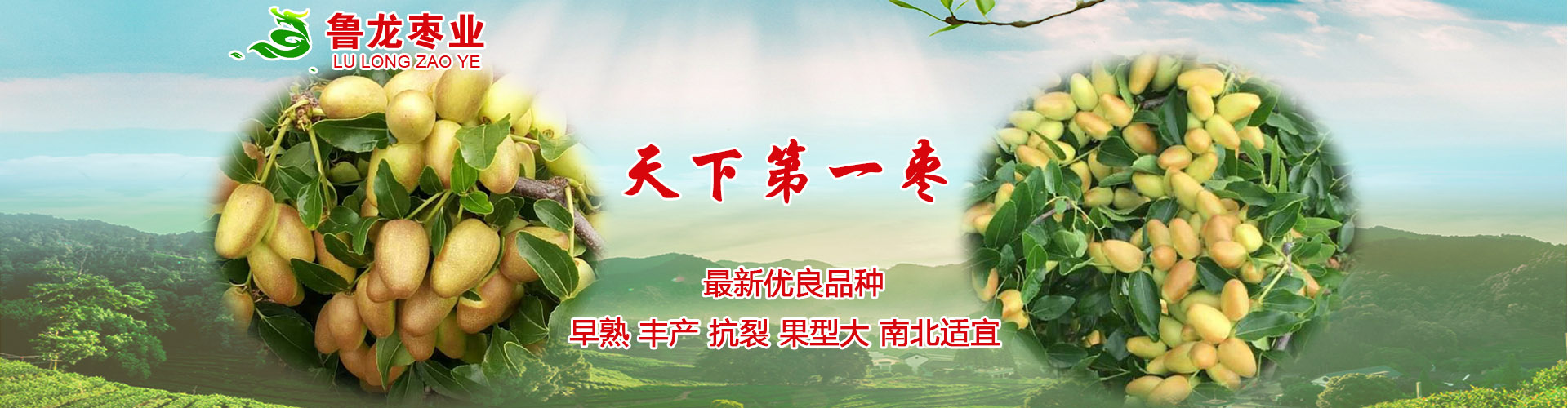 首页banner2