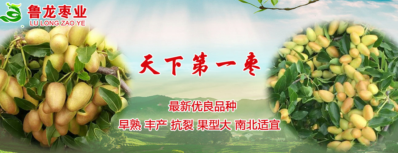 插图2