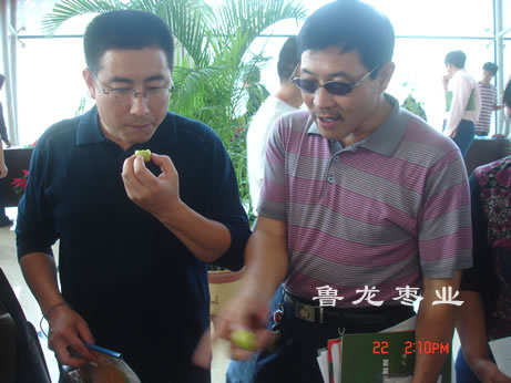 首届枣业大会全国同行品评脆枣王