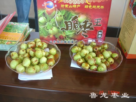 脆枣王在首届枣业大会参展