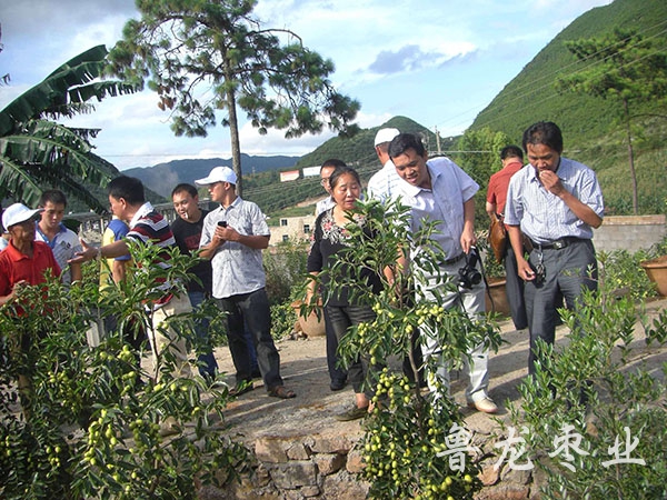 贵州兴义基地硕果累累