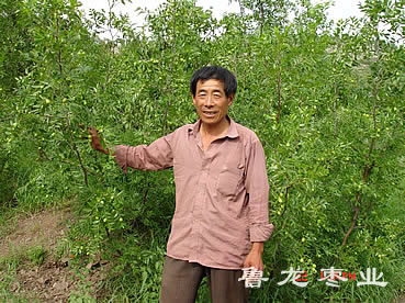 技术服务大队长陈晋坡