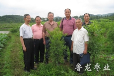 湖南凤凰腊尔山