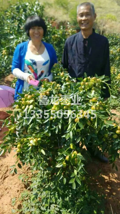 云南玉溪2