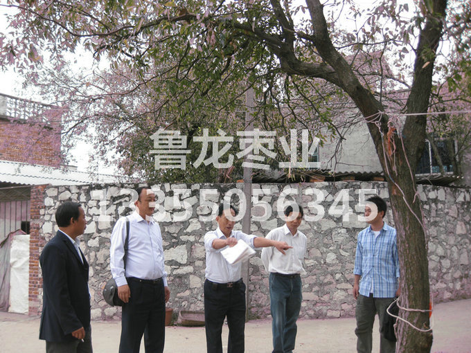 在柳州指导